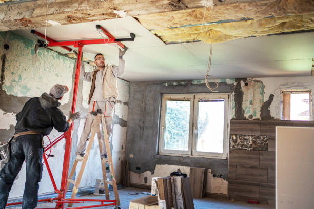 Professional Insulation Contractor in Jacksonville, TX